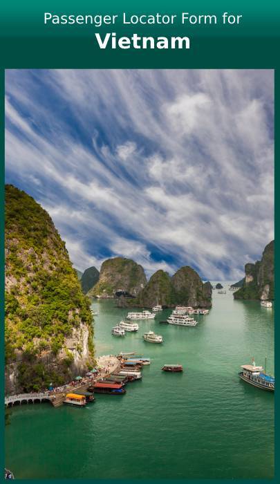 Vietnamese Health Declaration